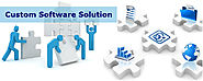 Importance Of Custom Software Solutions For Companies And Businesses