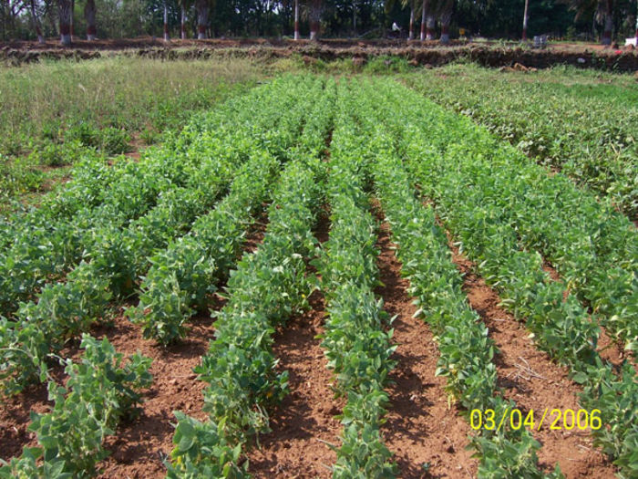 Agriculture A Listly List