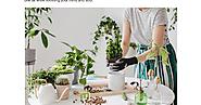 Greening Your Home: 30 Eco-Friendly Home Decor Ideas - Google Docs