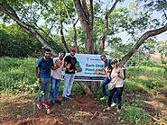 Tree Plantation for CSR – Grow Billion Trees