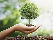 Website at https://growbilliontrees.com/pages/top-10-ngos-in-kanpur-strengthening-communities-promoting-progress