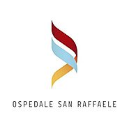San Raffaele Milano