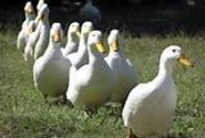 How do you find people to follow?