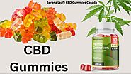 Serena Leafz CBD Gummies Canada Scam Warning! Hemp Gummies VS CBD Gummies Beware Alert Also About Read Before Buying