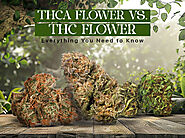 THCa Flower VS. THC Flower: Everything You Need to Know