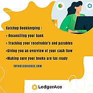 LedgerAce Consulting LLP