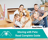 Moving with Pets: Read Complete Guide | One Day Movers