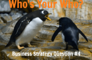 Business Strategy Question #04: Who is your WHO?