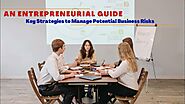 An Entrepreneurial Guide: Key Strategies to Manage Potential Business Risks