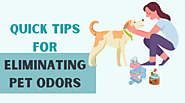 Quick Tips for Eliminating Pet Odors