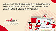 The Role of SaaS Marketing Consultant In SaaS Branding