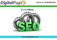 Best Wordpress SEO Service India