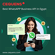 Best WhatsApp Business API Solution in Egypt – Cequens