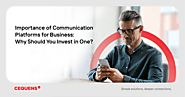 Communication platforms for business: Why should you invest in one?