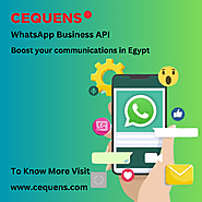 Boost your communications in Egypt with Cequens WhatsApp Business API