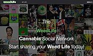 Social marijuana now available online