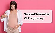 Second trimester of pregnancy | Guide for pregnant women