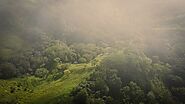 Discovering Costa Rica’s Enigmatic Cloud Forests: A Journey into Mystical Realms