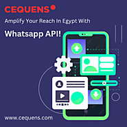 Best Whatsapp API provider in Egypt