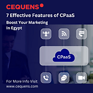 7 Key Characteristics That Define CPaaS - Cequens