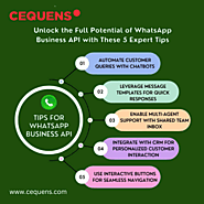 Maximize WhatsApp Business API Efficiency: 5 Expert Tips by CEQUENS