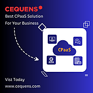 Cequens-Best CPaaS Solution For Your Business in Egypt