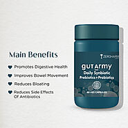 Gut Health Supplements | Probiotic & Prebiotic Capsules - Zeroharm