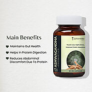 Ashwagandha and Probiotics Supplements for Digestion - Zeroharm