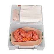 Wearable Abdominal Evisceration Intestinal Wound Simulator – Ultrassist