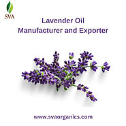 Lavender Oil Manufacturer and Exporter