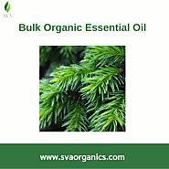 Best Price for Bulk Organic Essential Oils