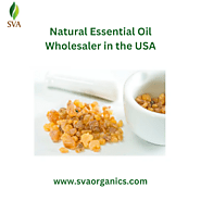 Natural Essential Oil Wholesaler in the USA