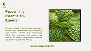 Exploring the Rise of a Top Peppermint Essential Oil Exporter