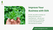 Start your Business with SVA: Premier Essential Oil Manufacturer