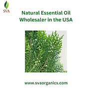 SVA | Natural Essential Oil Wholesaler in the USA