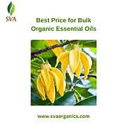 Best Price for Bulk Organic Essential Oils