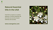 Natural Essential Oil Wholesaler in the USA