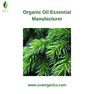 Organic Oil Essential Manufacturer | SVA