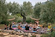 Yoga Teacher Training in Rishikesh