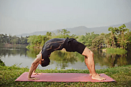 Yoga School in Rishikesh