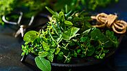 Top 10 Herb Plants for Your Kitchen Garden | Nurserylive