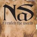 If I Ruled the World - Nas