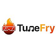 Tunefry Providing Music Promotion Services