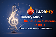 Tunefry Music Distribution Platforms In India