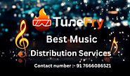 TuneFry Best Music Distribution Services In India | by Tunefry | Apr, 2024 | Medium