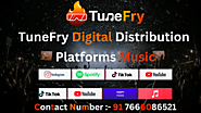 TuneFry Digital Distribution Platforms Music