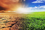 The Hidden Impact of Climate Change on Agriculture in Pakistan | ZAREA LIMITED