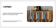 Largest Wheat Exporters in Asia | Export a Little Amount of Grain | Zarea Limited