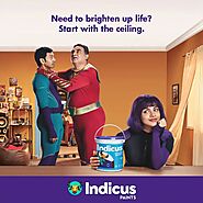 Illuminate Your Space: Interior Paints for Ceiling Brightness - Indicus Paints