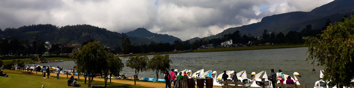 Listly top 5 activities to keep kids entertained in nuwara eliya abounding fun and thrills in the scenic central highlands headline